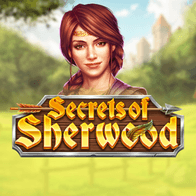 Secrets of Sherwood game icon